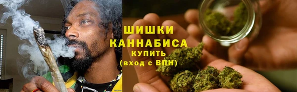 индика Лабытнанги