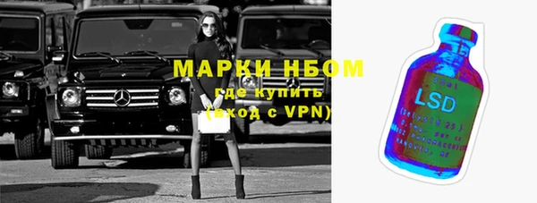 индика Лабытнанги