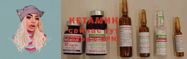 индика Лабытнанги