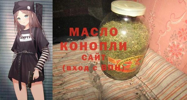 индика Лабытнанги