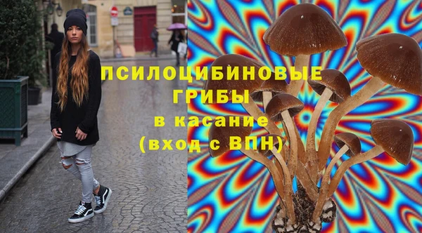 индика Лабытнанги