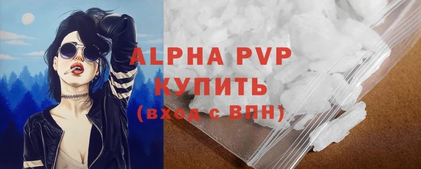 индика Лабытнанги