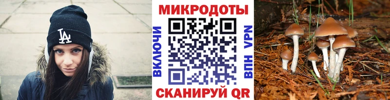 Галлюциногенные грибы ЛСД  hydra онион  Новое Девяткино  продажа наркотиков 